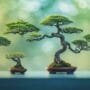 bonsai trees for climate