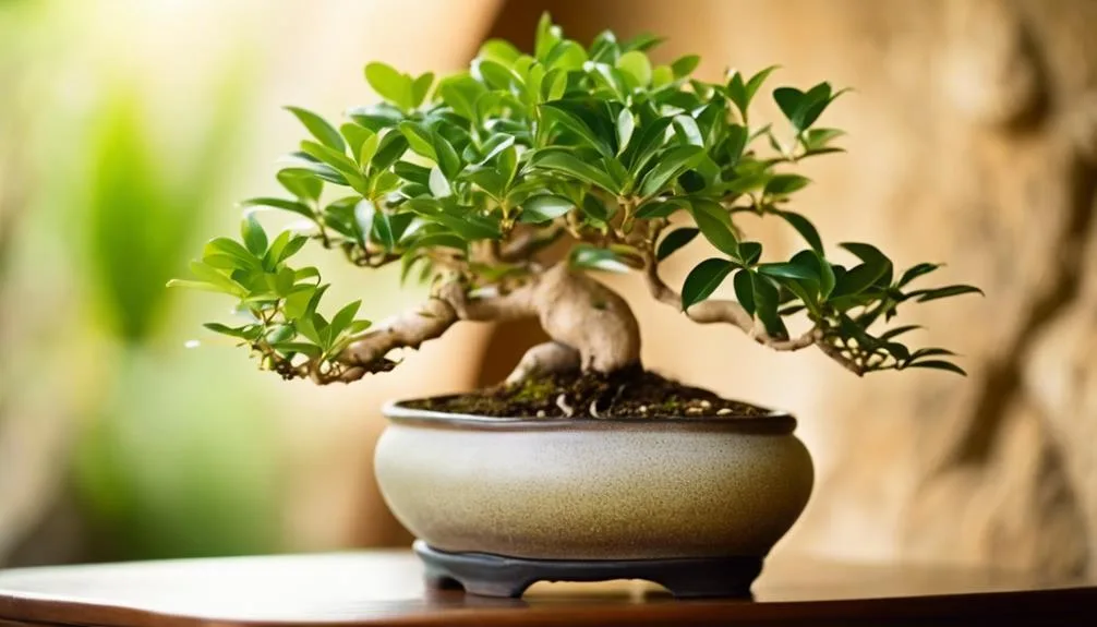 bonsai trees grow fast