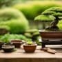 budgeting for bonsai care