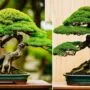 careful pruning is essential