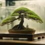 controlled environment for growth