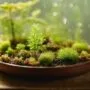 controlled humidity and light