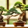 cost of tiny trees