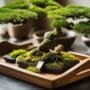 crafting miniature tree perfection