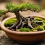 crafting small tree wonders