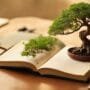cultivate mindful personal growth