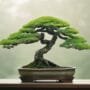 cultivating artful tree forms