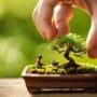 cultivating life s gentle lessons