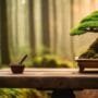 cultivating life through patience