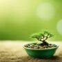 cultivating miniature tree perfection