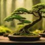cultivating miniature tree wonders