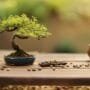 cultivating peace through nature