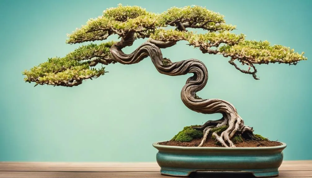 curved trunk bonsai art