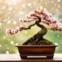 customized care for bonsai