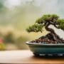 customized care for bonsai