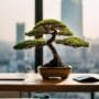 easy bonsai care methods