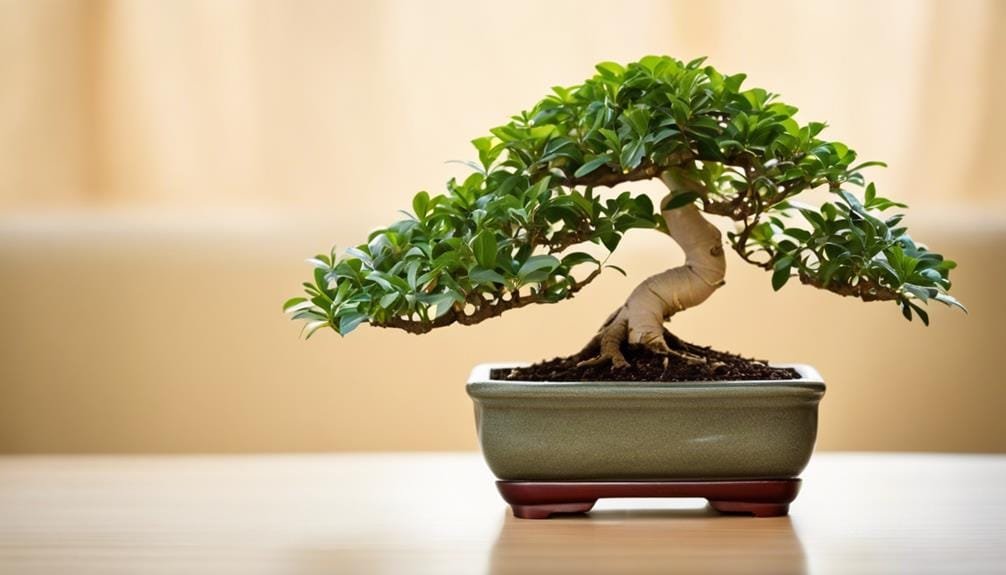 easy bonsai for beginners