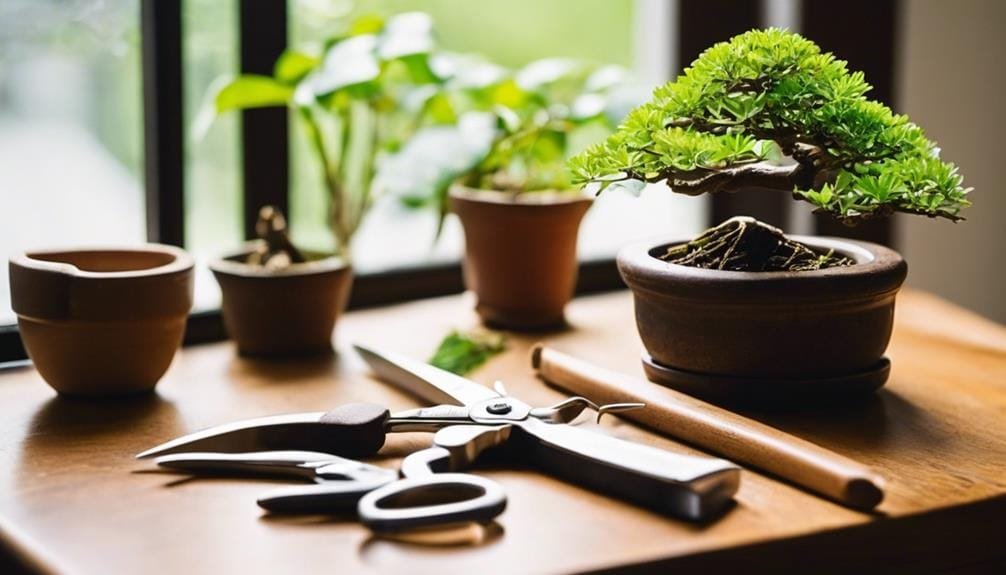 essential tools for bonsai