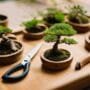 essential tools for bonsai