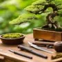 essential tools for bonsai