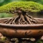 gentle care for roots