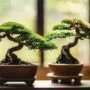 growing miniature trees easily