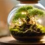 growing trees in glass