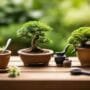 introducing kids to bonsai