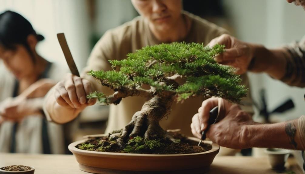 learn bonsai with experts