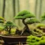 mastering bonsai care techniques