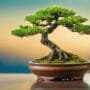 mastering bonsai tree shaping