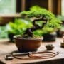 mastering bonsai tree shaping