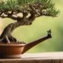 mastering miniature tree art