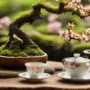 miniature tea drinking experience