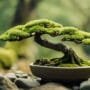 miniature tree art form