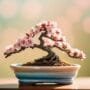 miniature tree art forms