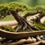 miniature tree on raft