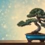 miniature trees exude serenity