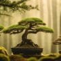 miniature trees of wonder