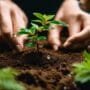 monitoring soil water levels
