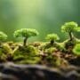 nurturing tiny tree life