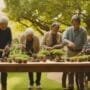 nurturing trees fostering bonds