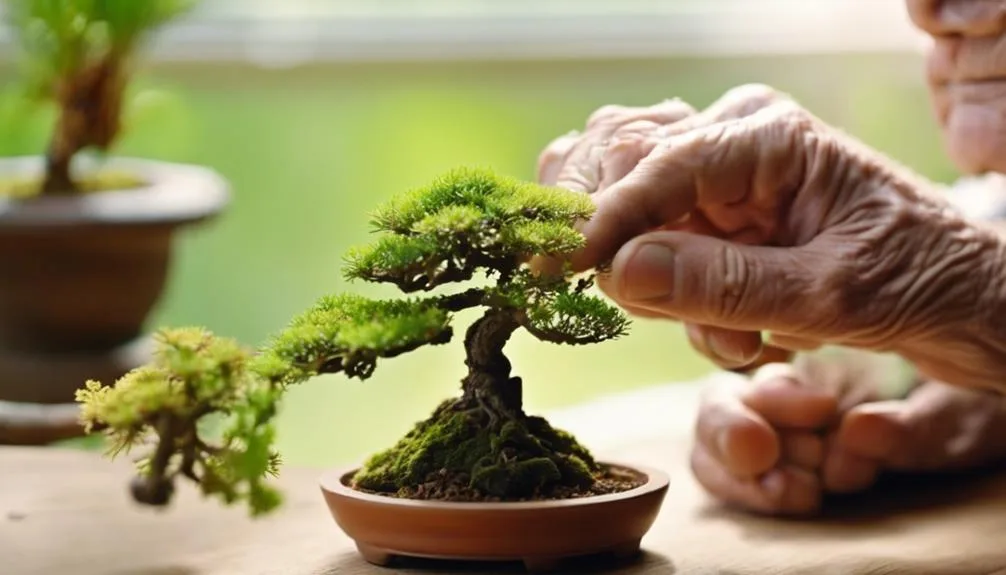 nurturing trees nurturing souls