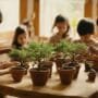 nurturing young bonsai minds