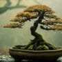 preventing bonsai tree decay