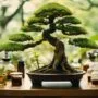 preventing tree health issues