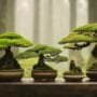 protecting bonsai tree heritage