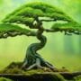 pruning for aesthetic harmony