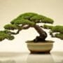 selecting trees for simplicity