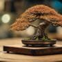 shaping tiny tree forms